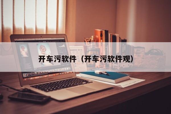 开车污软件（开车污软件观）