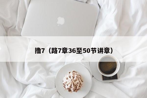 撸7(路7章36至50节讲章)