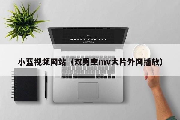 小蓝视频网站(双男主mv大片外网播放)