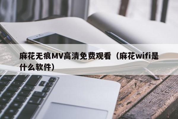 麻花无痕MV高清免费观看(麻花wifi是什么软件)