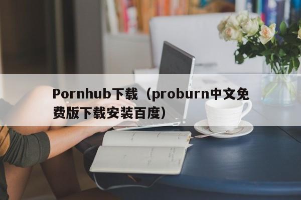 Pornhub下载(proburn中文免费版下载安装百度)