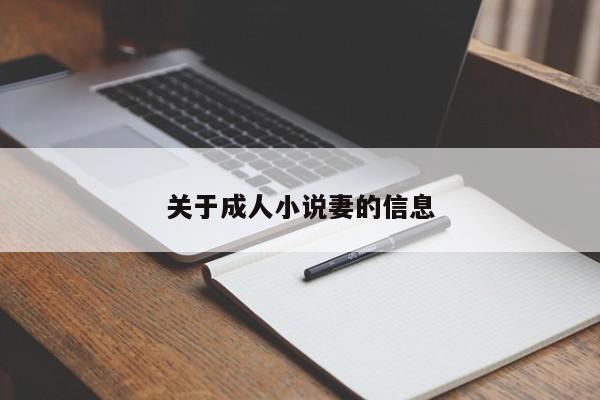 关于成人小说妻的信息