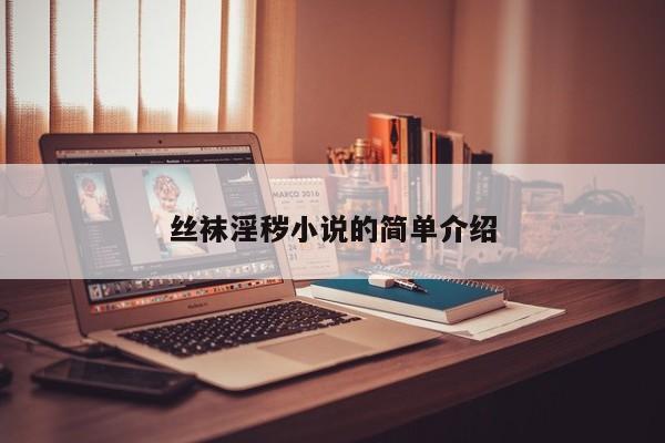 丝袜淫秽小说的简单介绍