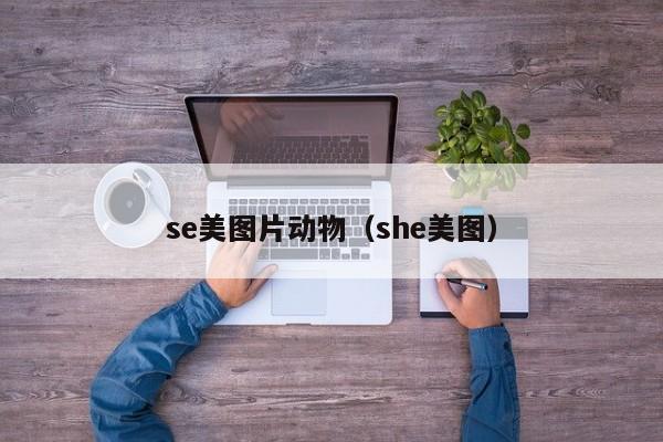 se美图片动物(she美图)