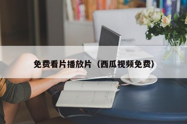 免费看片播放片(西瓜视频免费)