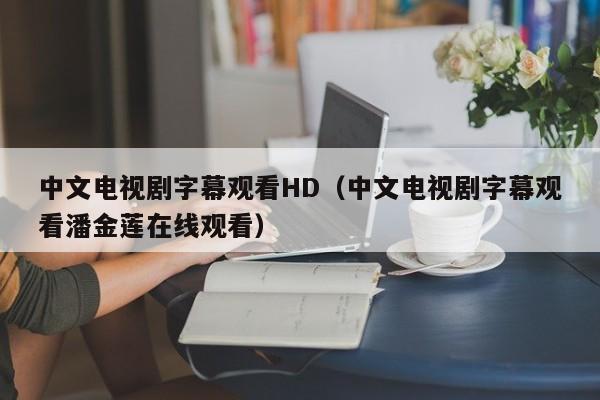 中文电视剧字幕观看HD(中文电视剧字幕观看潘金莲在线观看)