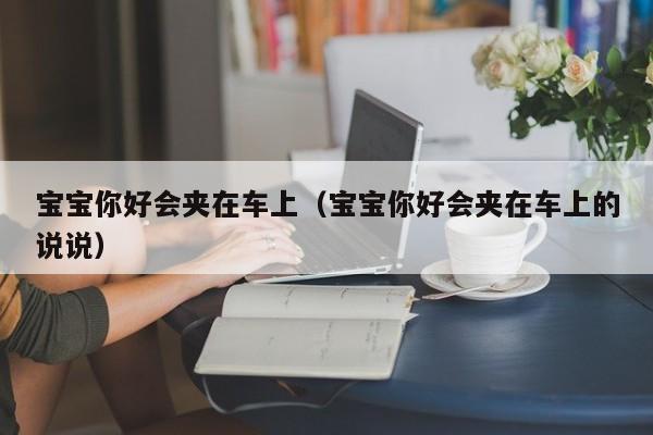 宝宝你好会夹在车上(宝宝你好会夹在车上的说说)