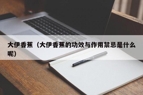 大伊香蕉(大伊香蕉的功效与作用禁忌是什么呢)