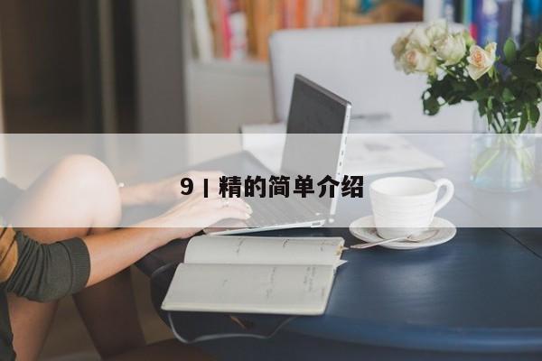 9丨精的简单介绍