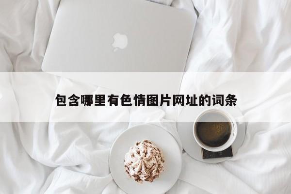 包含哪里有色情图片网址的词条