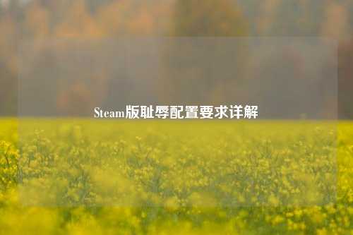 Steam版耻辱配置要求详解