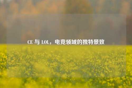 CE 与 LOL，电竞领域的独特景致
