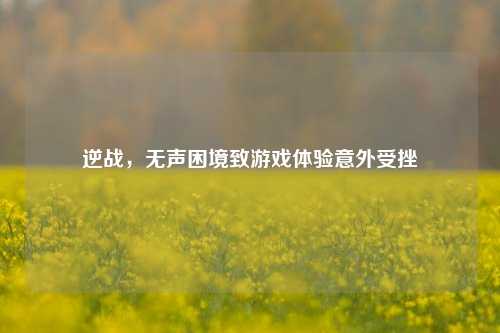 逆战，无声困境致游戏体验意外受挫