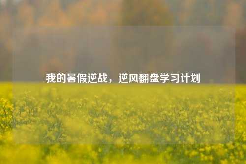 我的暑假逆战，逆风翻盘学习计划