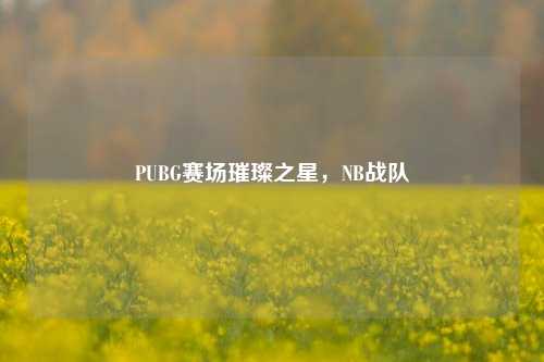 PUBG赛场璀璨之星，NB战队