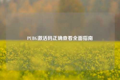 PUBG激活码正确查看全面指南