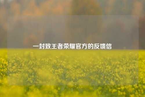 一封致王者荣耀官方的反馈信