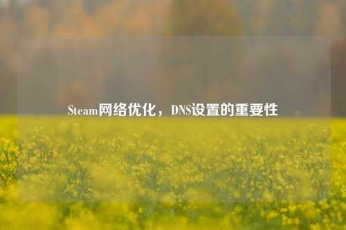 Steam *** 优化，DNS设置的重要性