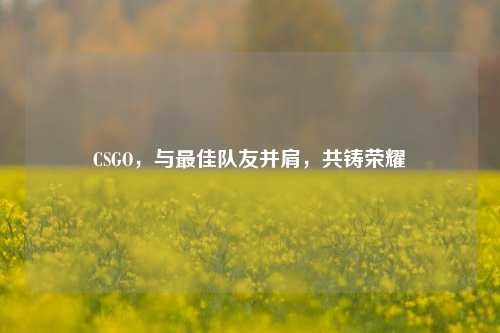 CSGO，与更佳队友并肩，共铸荣耀