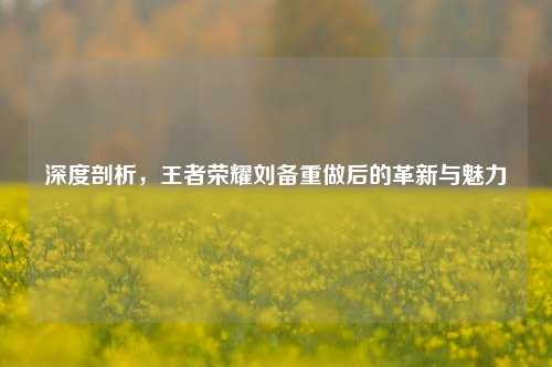 深度剖析，王者荣耀刘备重做后的革新与魅力