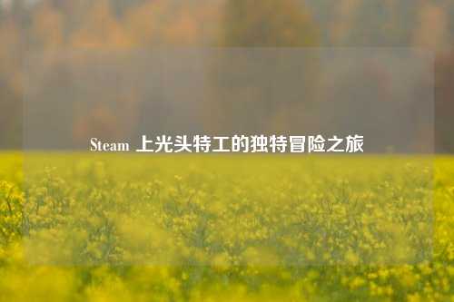 Steam 上光头特工的独特冒险之旅