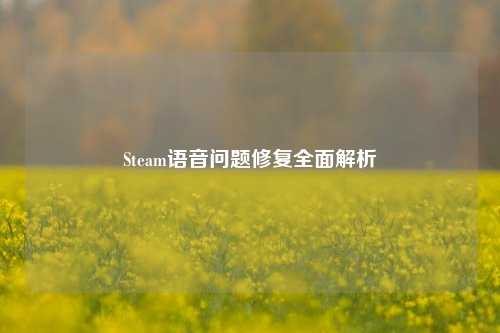 Steam语音问题修复全面解析