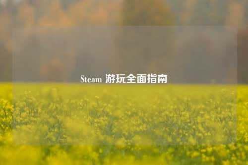 Steam 游玩全面指南