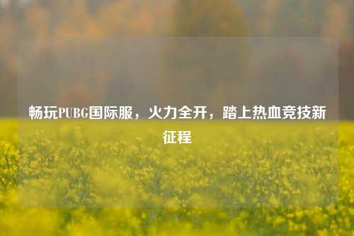 畅玩PUBG国际服，火力全开，踏上热血竞技新征程