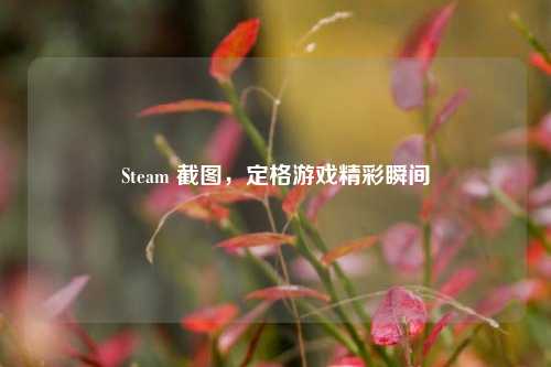 Steam 截图，定格游戏精彩瞬间