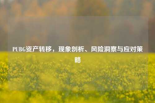 PUBG资产转移，现象剖析、风险洞察与应对策略