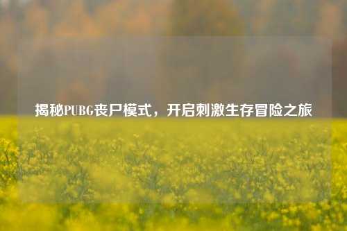 揭秘PUBG丧尸模式，开启***生存冒险之旅