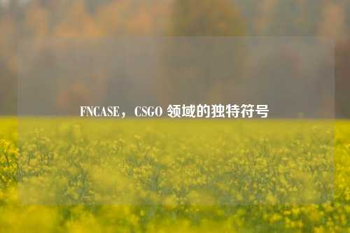 FNCASE，CSGO 领域的独特符号