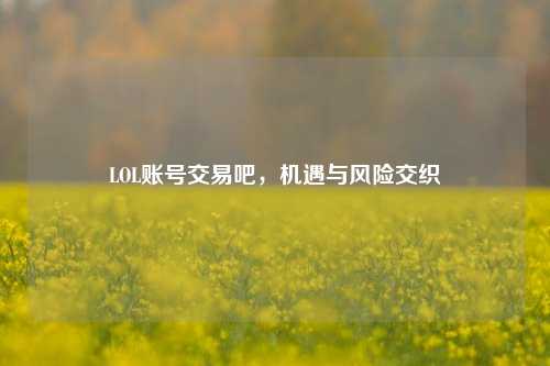 LOL账号交易吧，机遇与风险交织