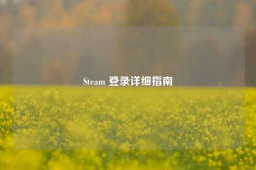 Steam 登录详细指南