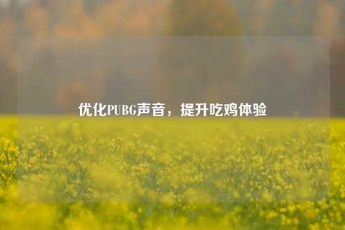 优化PUBG声音，提升吃鸡体验