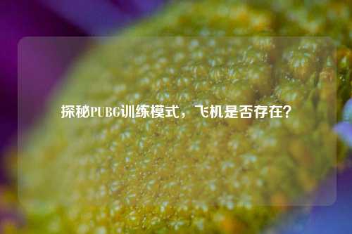 探秘PUBG训练模式，飞机是否存在？