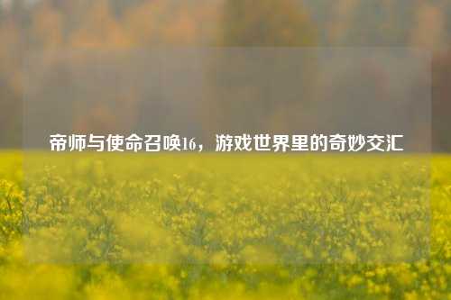 帝师与使命召唤16，游戏世界里的奇妙交汇