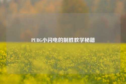PUBG小闪电的制胜教学秘籍