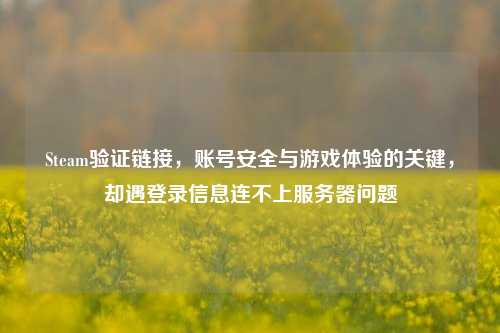 Steam验证链接，账号安全与游戏体验的关键，却遇登录信息连不上服务器问题