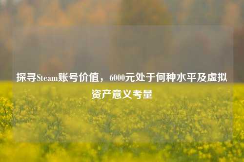 探寻Steam账号价值，6000元处于何种水平及虚拟资产意义考量