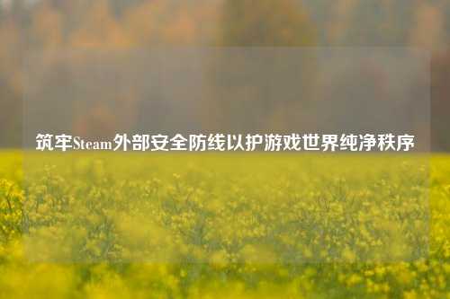 筑牢Steam外部安全防线以护游戏世界纯净秩序
