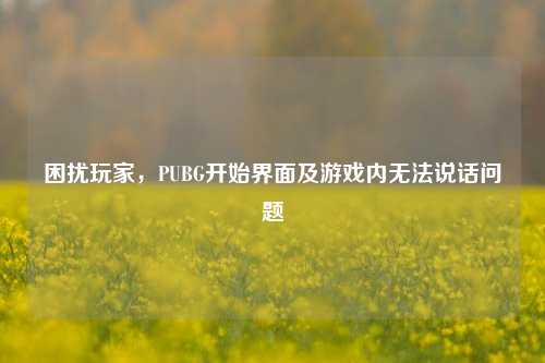 困扰玩家，PUBG开始界面及游戏内无法说话问题