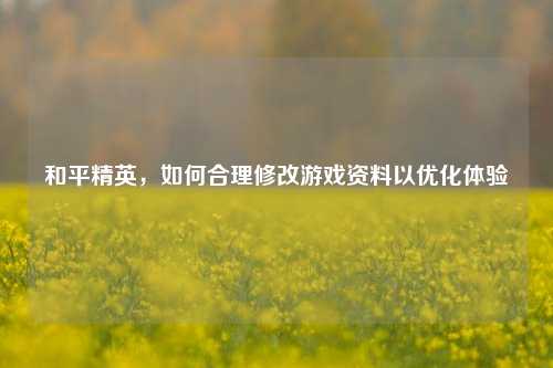 和平精英，如何合理修改游戏资料以优化体验