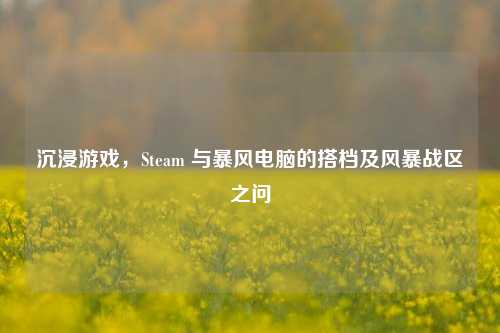 沉浸游戏，Steam 与暴风电脑的搭档及风暴战区之问