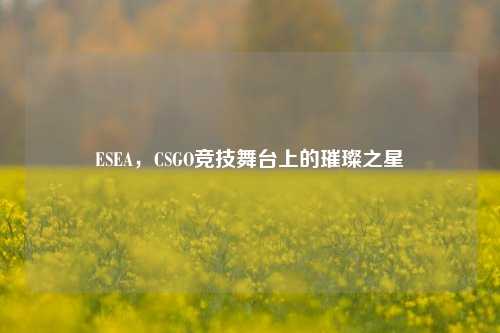 ESEA，CSGO竞技舞台上的璀璨之星