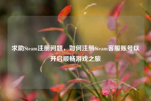 求助Steam注册问题，如何注册Steam *** 账号以开启顺畅游戏之旅