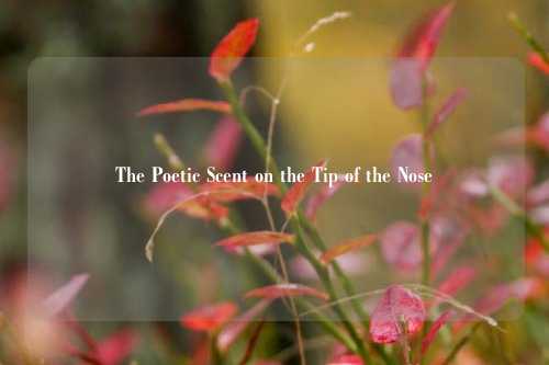 The Poetic Scent on the Tip of the Nose
