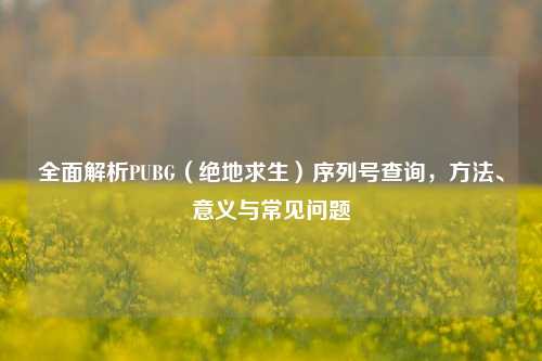 全面解析PUBG（绝地求生）序列号查询， *** 、意义与常见问题