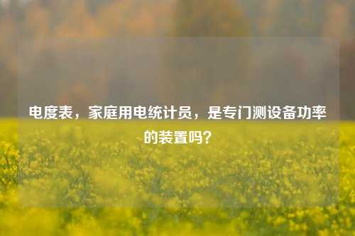 电度表,家庭用电统计员,是专门测设备功率的装置吗?