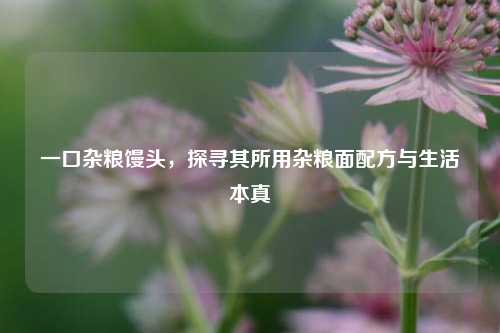 一口杂粮馒头,探寻其所用杂粮面配方与生活本真